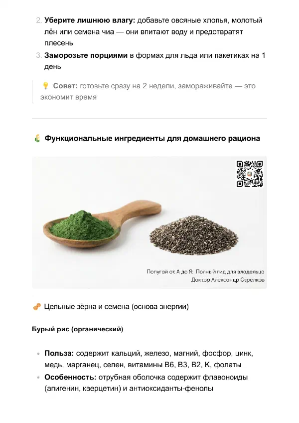 Чем кормить попугая кроме зерносмеси: рацион без гранул — Страницы гайда, стр. 3