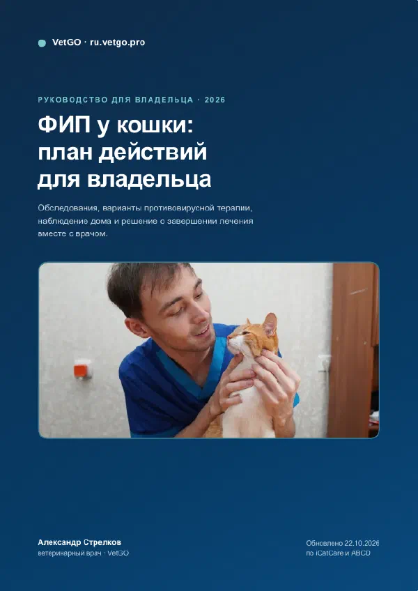 ФИП у кошек: руководство по лечению и контролю анализов — Страницы гайда, стр. 1