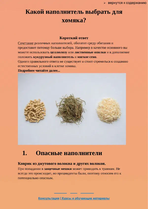 Как ухаживать за хомяком: курс для начинающего владельца — Страницы гайда, стр. 4