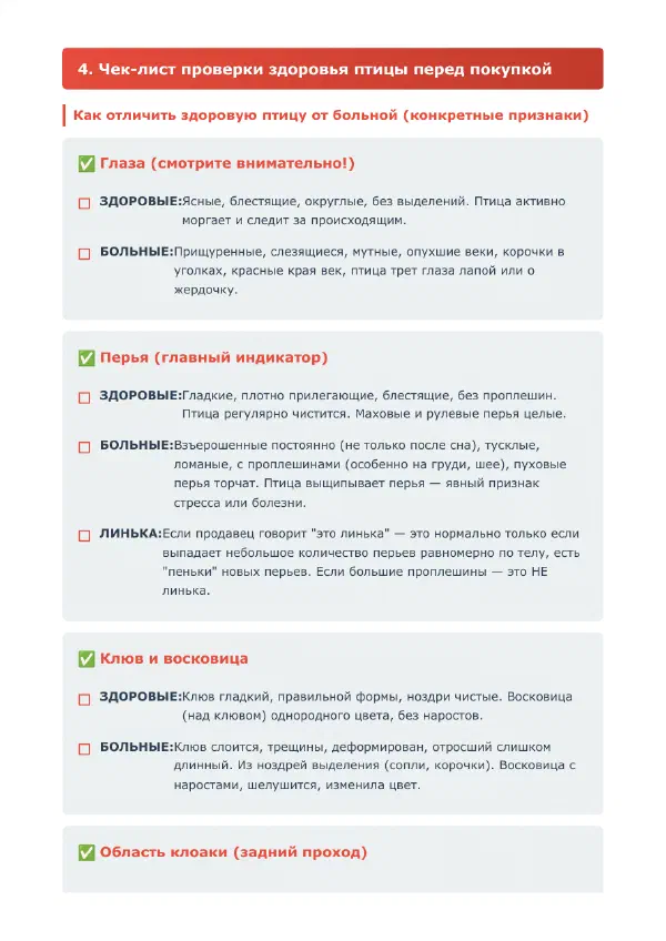 Какого попугая завести в квартире: сравнение пяти видов — Страницы гайда, стр. 4