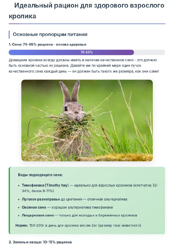 Чем кормить декоративного кролика дома: рацион и меню — Страницы гайда, стр. 1