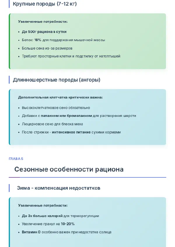 Чем кормить декоративного кролика дома: рацион и меню — Страницы гайда, стр. 2