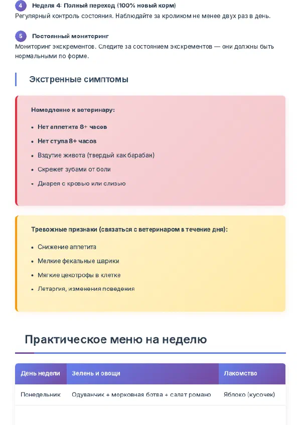 Чем кормить декоративного кролика дома: рацион и меню — Страницы гайда, стр. 3