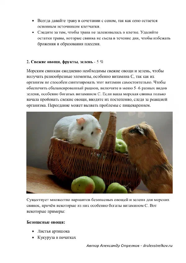 Чем кормить морскую свинку дома: рацион на каждый день — Страницы гайда, стр. 2