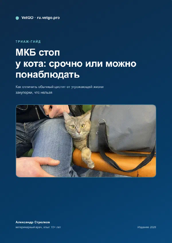 Кот тужится или долго сидит в лотке: что делать — Страницы гайда, стр. 1