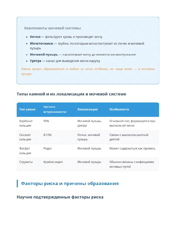 Моча и мочевая система морской свинки: камни и рацион — Страницы гайда, стр. 1