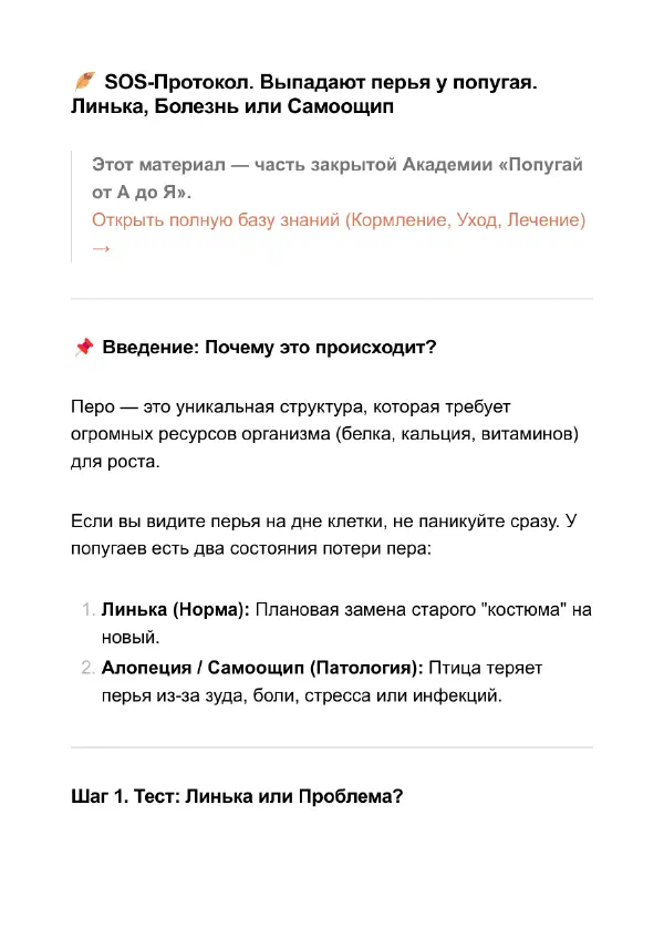Попугай выщипывает перья: что делать дома и когда к врачу — Страницы гайда, стр. 1