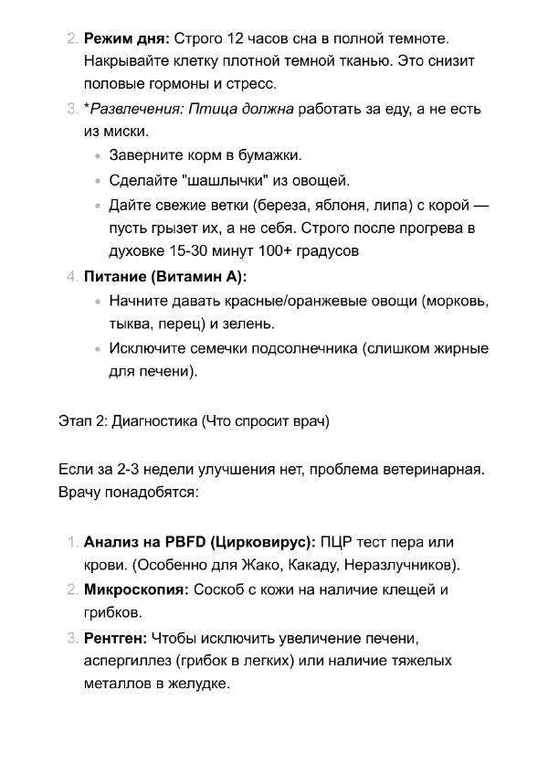 Попугай выщипывает перья: что делать дома и когда к врачу — Страницы гайда, стр. 4