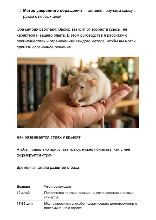 Как приручить крысу к рукам, если она боится и кусается — Страницы гайда, стр. 2