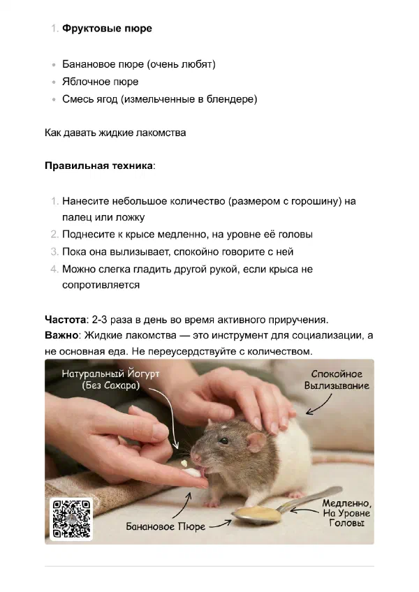 Как приручить крысу к рукам, если она боится и кусается — Страницы гайда, стр. 3