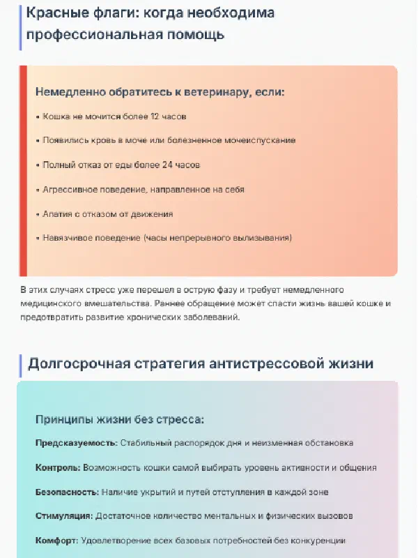 Стресс у кошки: 15 признаков и план на месяц — Страницы гайда, стр. 4