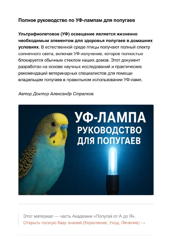 УФ-лампа для попугая: какую выбрать и как повесить — Страницы гайда, стр. 1